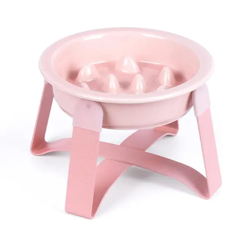 Elevated Ceramic Cat Bowl with Metal Stand - Slow Feeder Pet Dish for Dogs and Cats