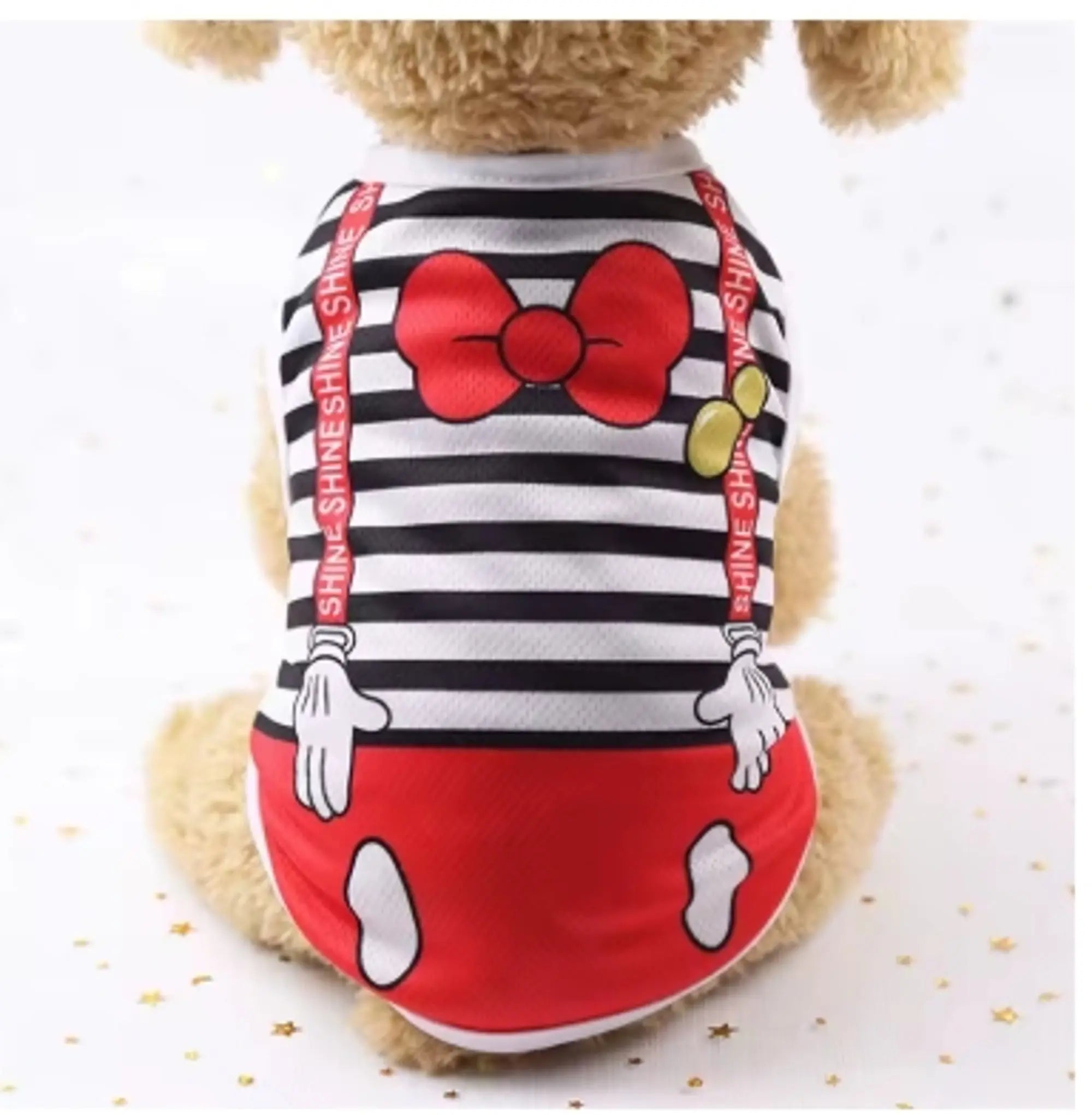 Pet Apparel for Dogs and Cats