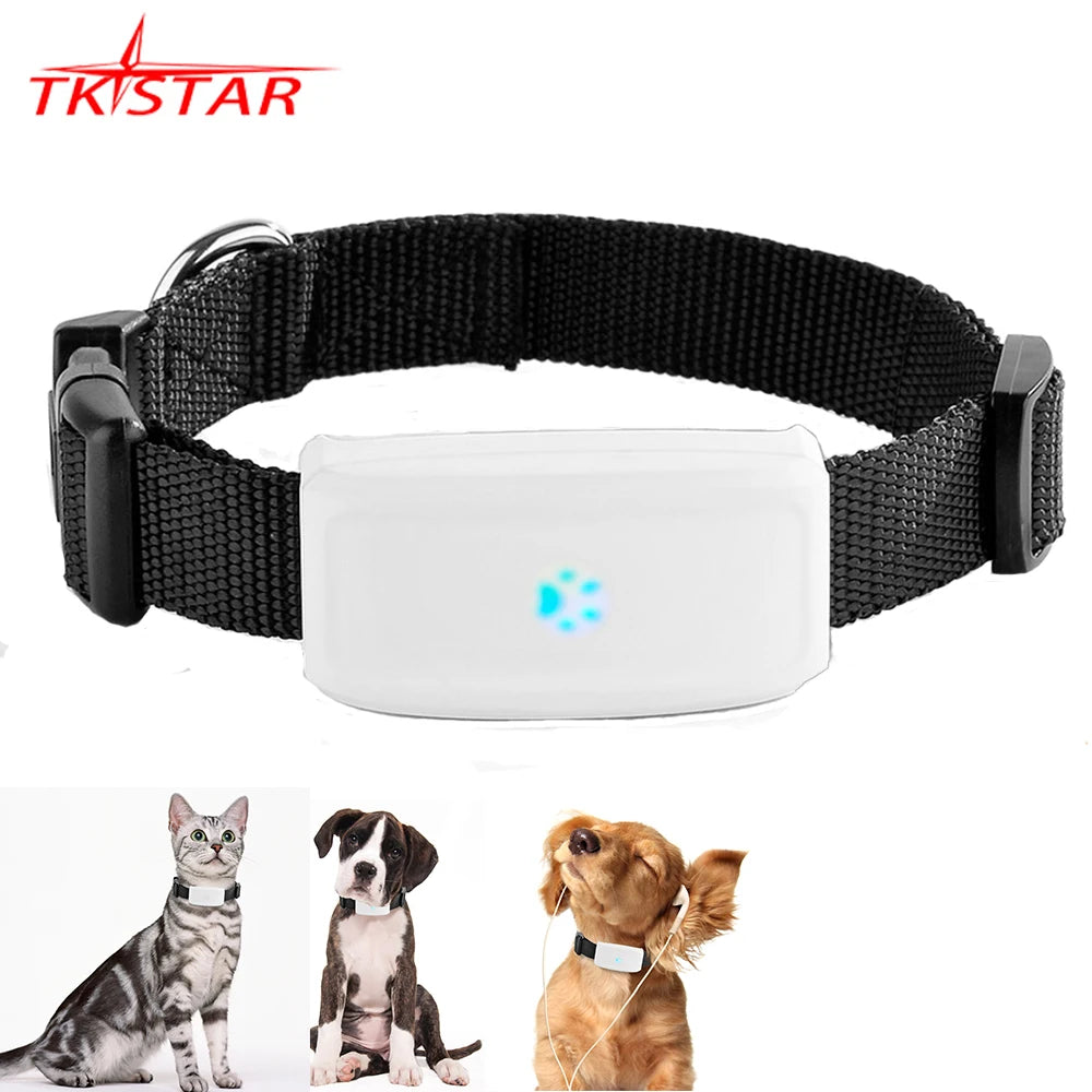 2G GSM GPS Tracker Pet TK911 GPS Locator TKSTAR Mini GPS Pets Tracker 2G GSM Best Dog GPS Tracker with Free APP Waterproof IP67