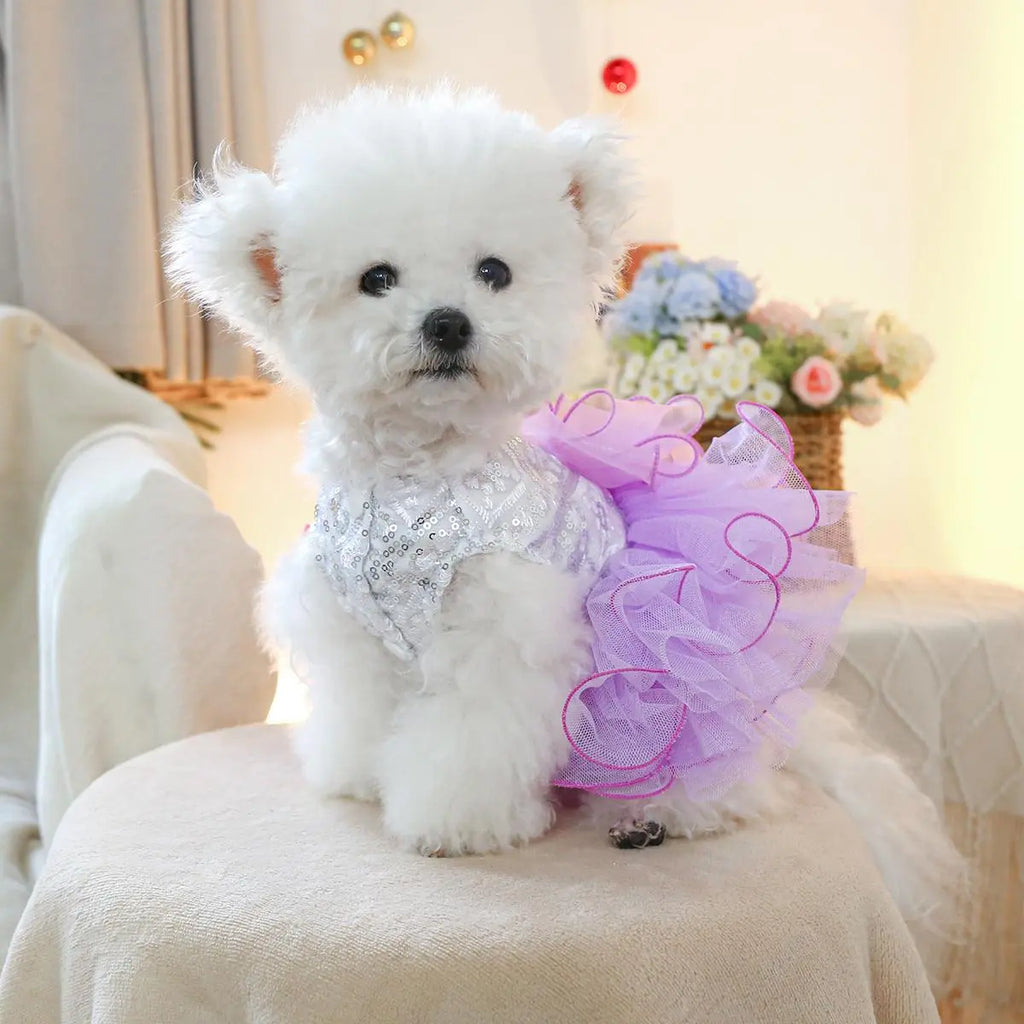 Elegant Princess-Inspired Pet Dress for Small Dogs and Cats - Ideal for Weddings and Special Occasions