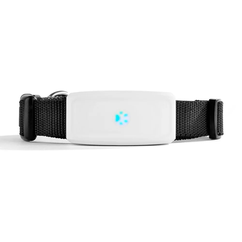 2G GSM GPS Tracker Pet TK911 GPS Locator TKSTAR Mini GPS Pets Tracker 2G GSM Best Dog GPS Tracker with Free APP Waterproof IP67