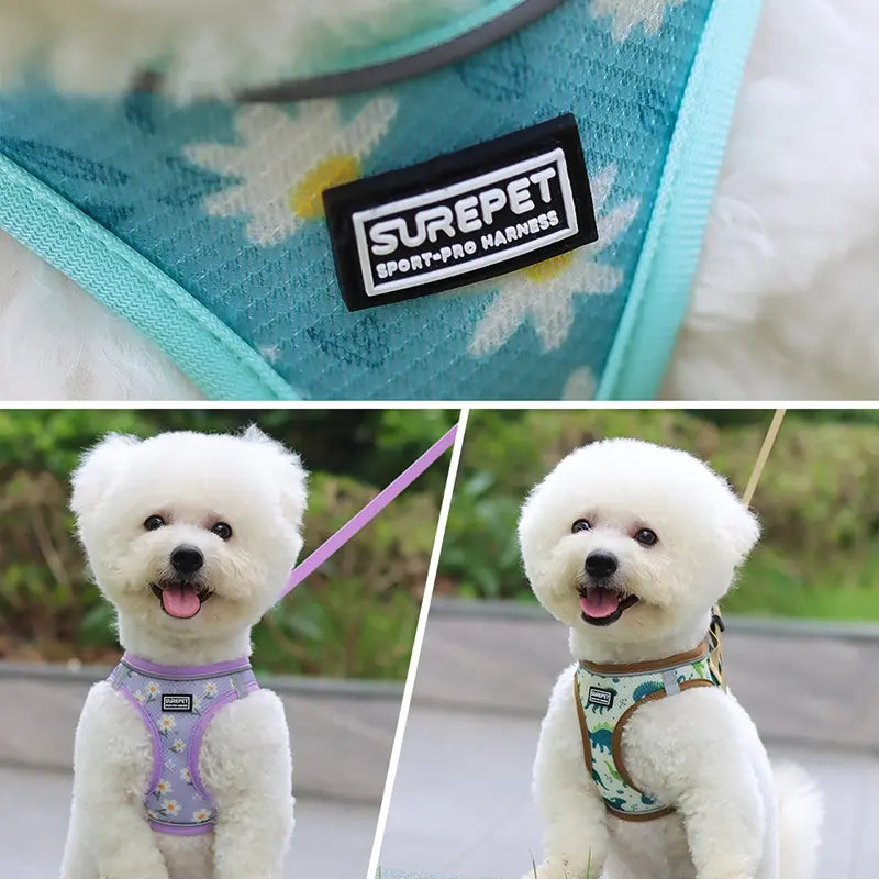 Adjustable Reflective Dog Harness and Leash Set - Durable and Breathable Safety Gear for Outdoor Walking - Pet Accessories for Dogs and Cats