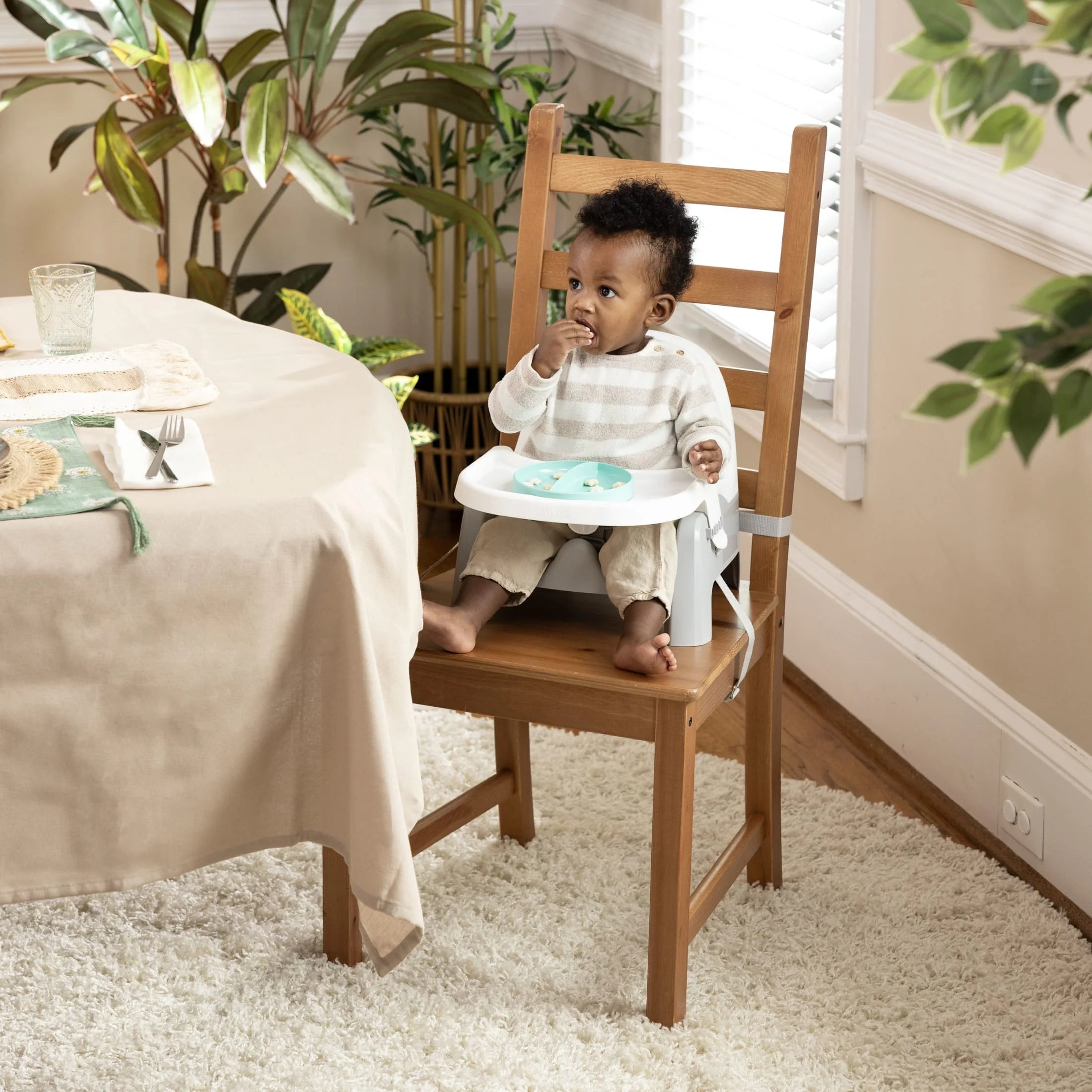 Deluxe Learn-To-Dine Feeding Seat, Ages 6 Months to 3 Years, Orange and Teal