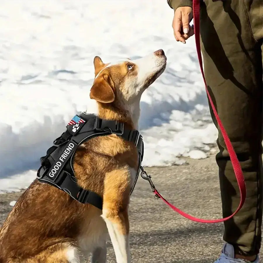 Adjustable Reflective Dog Harness for Training and Walking - Suitable for Dogs and Cats